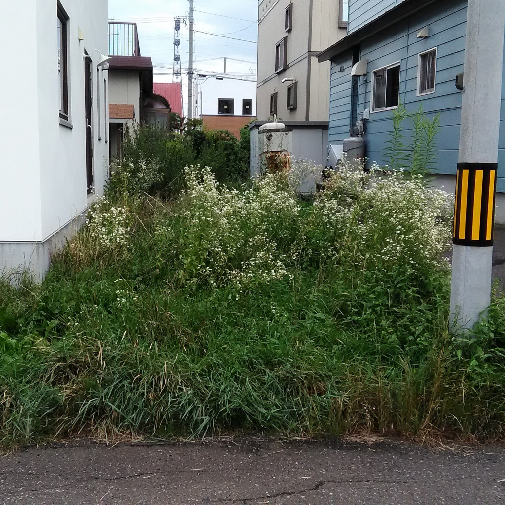 札幌市　ウッドフェンス